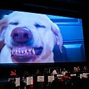 filmindependent280223-010.JPG