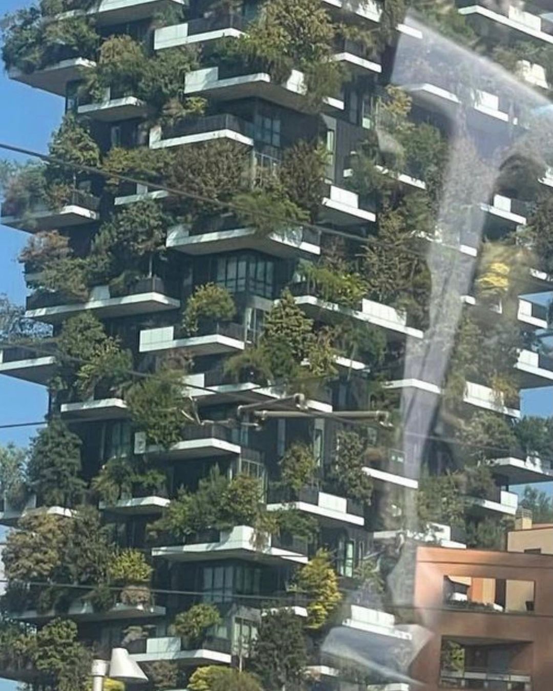 308382994_818317176020705_2070146264999421269_n.jpg