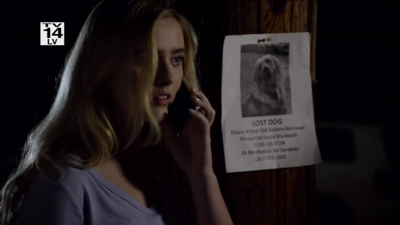 The_Maid_2016_720p_HDTV_X264_Solar_3001.jpg
