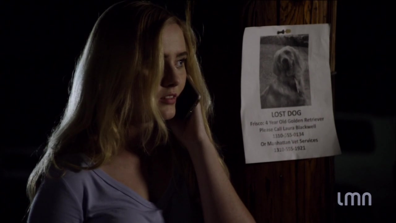 The_Maid_2016_720p_HDTV_X264_Solar_3030.jpg