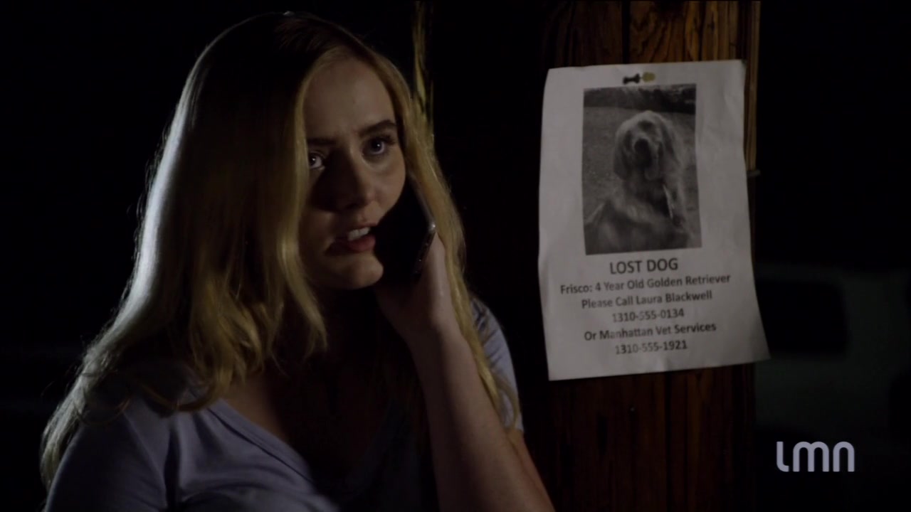 The_Maid_2016_720p_HDTV_X264_Solar_3034.jpg