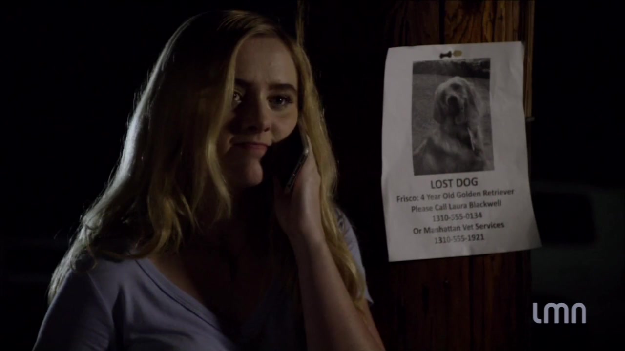 The_Maid_2016_720p_HDTV_X264_Solar_3046.jpg
