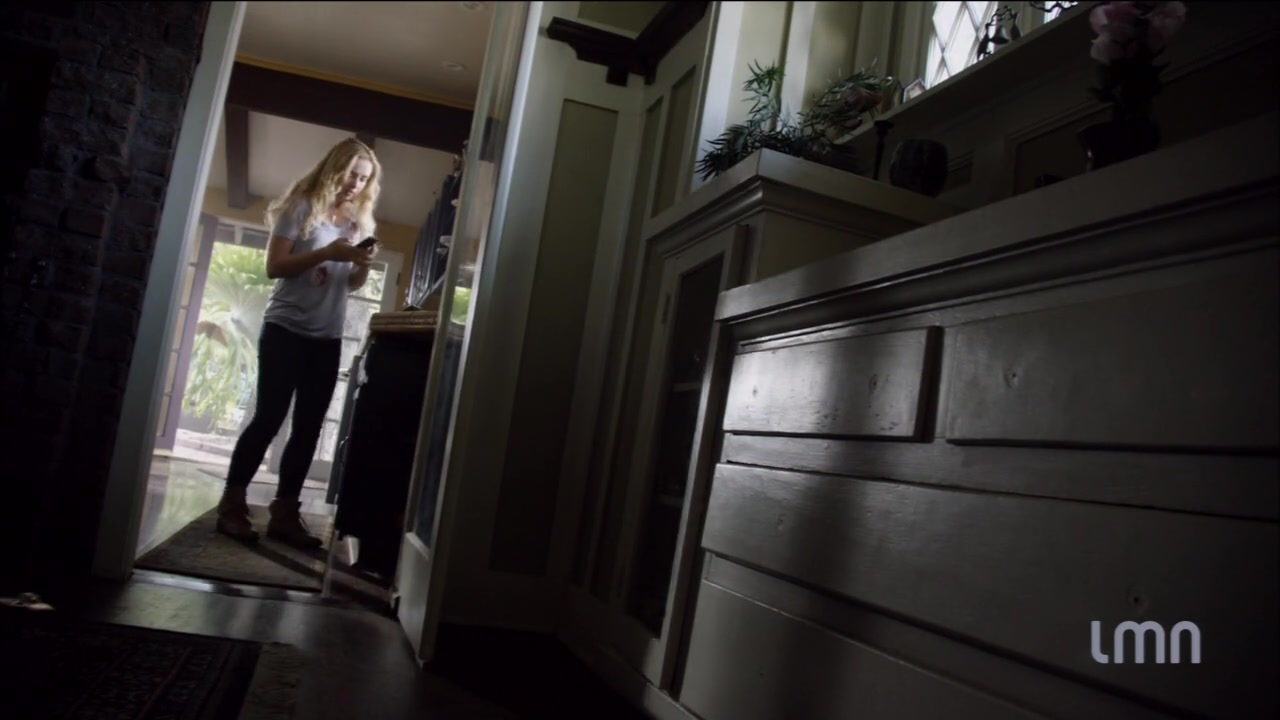 The_Maid_2016_720p_HDTV_X264_Solar_4687.jpg
