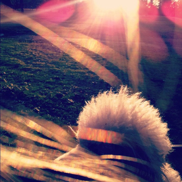 kathrynnewton_2011-12-18_02-52-33_11186877_440190349488720_771773758_n.jpg