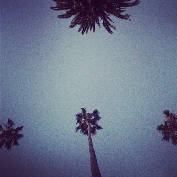 kathrynnewton_2012-07-29_06-44-21_924597_1480162982273785_450009925_n.jpg