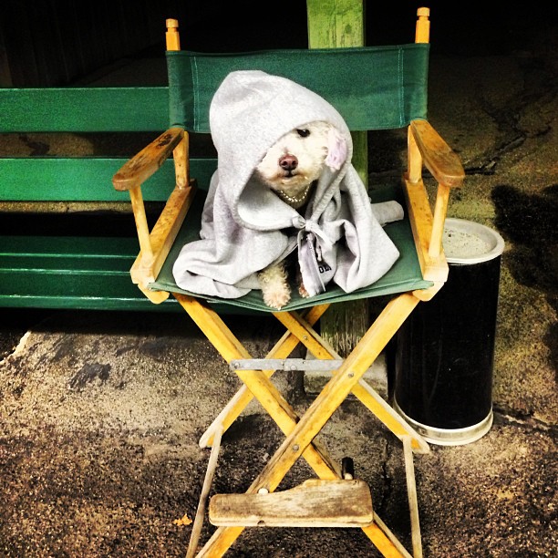 kathrynnewton_2012-12-16_03-56-25_11226810_824171110964877_846977359_n.jpg