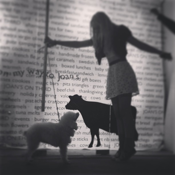kathrynnewton_2013-02-28_04-09-25_11242139_1028315807203546_1507809167_n.jpg