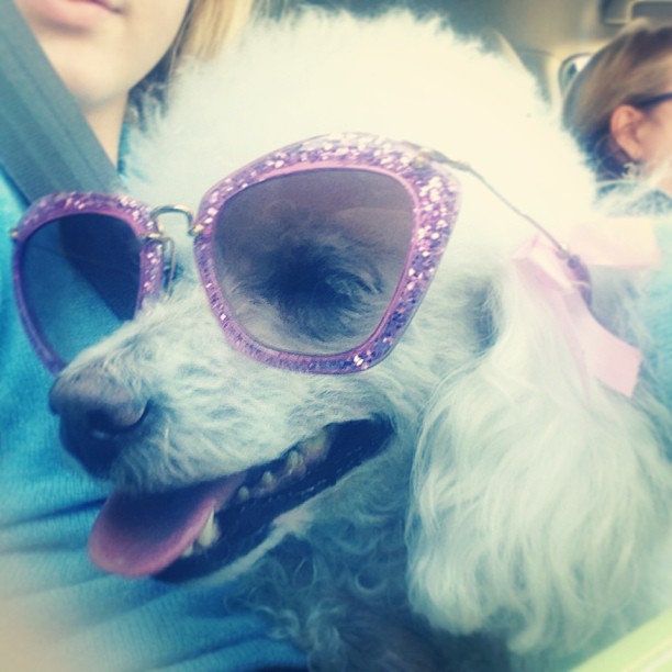 kathrynnewton_2013-03-30_20-12-50_11267834_1201708866522031_937750765_n.jpg