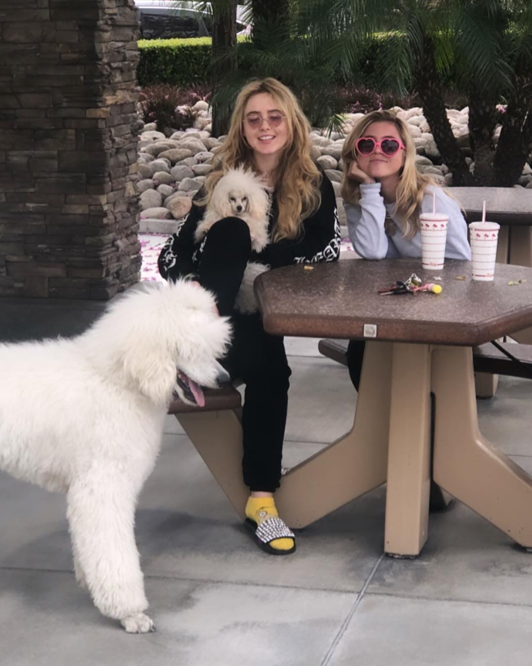 kathrynnewton_2019-04-12_00-21-49_54217453_653735561744741_5327723062817049976_n.jpg