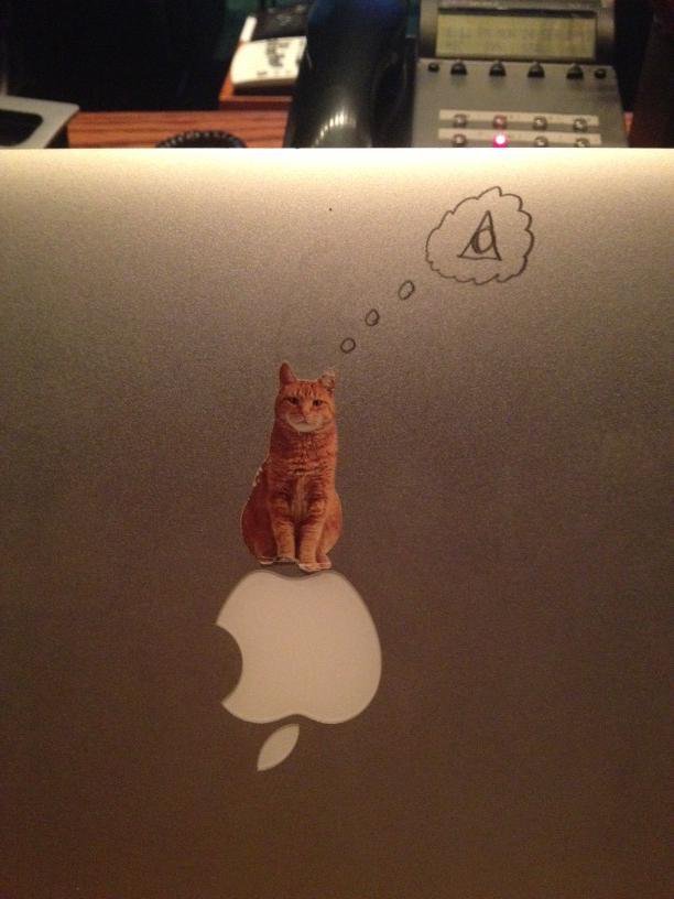 kattwitter-00019.jpg
