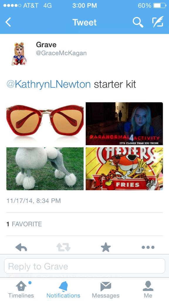 kattwitter-00296.jpg