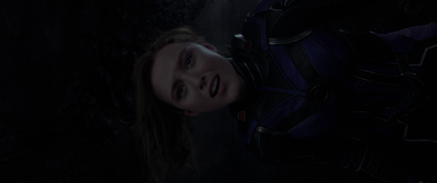 Ant_Man_and_the_Wasp_Quantumania_2023_2160p_WEB-DL_DDP5_1_Atmos_HEVC-CM_3851.jpg