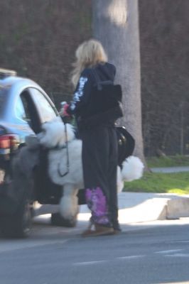 outwithdogs090223-007.JPG