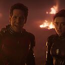 Ant_Man_and_the_Wasp_Quantumania_2023_2160p_WEB-DL_DDP5_1_Atmos_HEVC-CM_2780.jpg