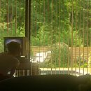 Halt_and_Catch_Fire_S04E06_A_Connection_Is_Made_1080p_AMZN_WEB-DL_DD5_1_H265-SiGMA_2208.jpg