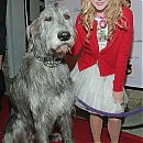 Mutt_Club___Poochi_Couture_Howliday_Jingle_Bones101208_28429.jpg