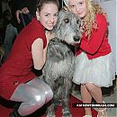 Mutt_Club___Poochi_Couture_Howliday_Jingle_Bones101208_28529.jpg
