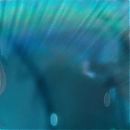 Pokemon_Detective_Pikachu_2019_1080p_HDRip_x264_AAC2_0-STUTTERSHIT_3555.jpg