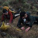 Pokemon_Detective_Pikachu_2019_1080p_HDRip_x264_AAC2_0-STUTTERSHIT_3945.jpg