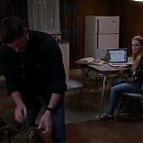 S10E20_-_Coracao_de_Anjo_1639.jpg