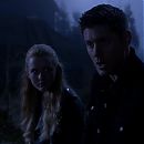 S10E20_-_Coracao_de_Anjo_1892.jpg