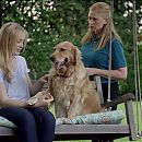 The_Maid_2016_720p_HDTV_X264_Solar_2266.jpg