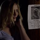 The_Maid_2016_720p_HDTV_X264_Solar_3030.jpg