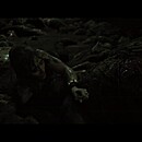 abigailtrailer-066.JPG