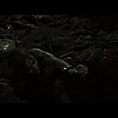 abigailtrailer-067.JPG