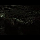 abigailtrailer-068.JPG