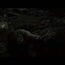 abigailtrailer-069.JPG
