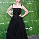amfardinner040718-003.jpg