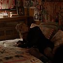 Filename=big_little_lies_s02e01_1080p_web_h264-memento_1902.jpg
Filesize=269KiB
Dimensions=1920x1080
Date added=Jun 10, 2019 big_little_lies_s02e01_1080p_web_h264-memento_1902.jpg
