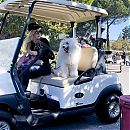 Filename=golfcalif190922-075.JPG
Filesize=224KiB
Dimensions=798x1028
Date added=Sep 20, 2022 golfcalif190922-075.JPG