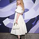 grisdior110423-002.jpg