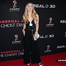 jh4gre_282229.jpg
