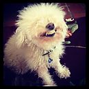 kathrynnewton_2012-04-17_07-02-47_11191495_1607586389453405_423640750_n.jpg