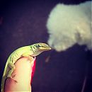 kathrynnewton_2013-01-07_16-25-49_11240693_1620489804829373_677575329_n.jpg