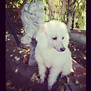 kathrynnewton_2013-01-20_21-17-00_11236116_825077750919039_1666724236_n.jpg
