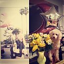 kathrynnewton_2013-02-13_05-26-40_11244658_1470395046584738_1279891669_n.jpg