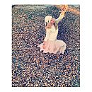 kathrynnewton_2013-12-13_03-33-02_1171932_554244104668748_2061840831_n.jpg