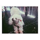 kathrynnewton_2014-01-08_15-07-01_1171283_726012317411825_1324295986_n.jpg