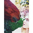 kathrynnewton_2014-03-18_02-01-20_11325431_1645175935704482_1035789652_n.jpg