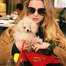 kathrynnewton_2019-02-15_22-37-52_50826303_404730763421692_2186717239593232396_n.jpg