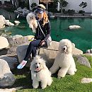 kathrynnewton_2019-03-04_23-09-38_50851583_610862792673113_1251903367495283611_n.jpg