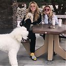kathrynnewton_2019-04-12_00-21-49_54217453_653735561744741_5327723062817049976_n.jpg