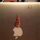 kattwitter-00019.jpg