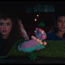lftrailer-020.JPG