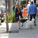 outinLA200618-029.jpg