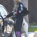 outwithdogs090223-008.JPG